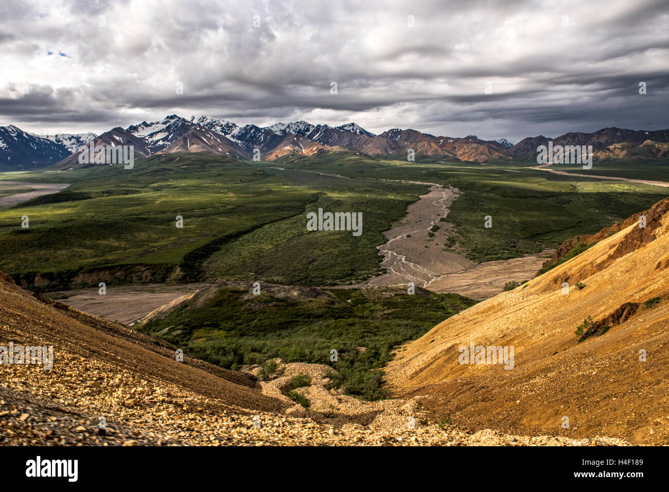 La gamma della montagna, Parco Nazionale di Denali, Alaska Foto Stock