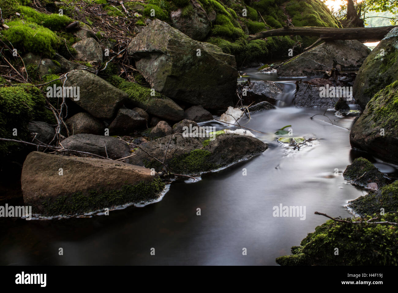 Flusso di acqua Nuuksio National Park, Finlandia Foto Stock