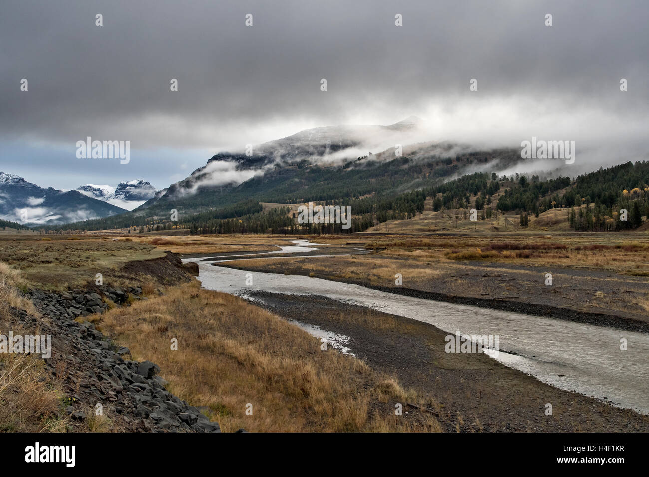 Yellowstone NP, Wyoming il Lamar valley e il fiume che porta lo stesso nome Foto Stock