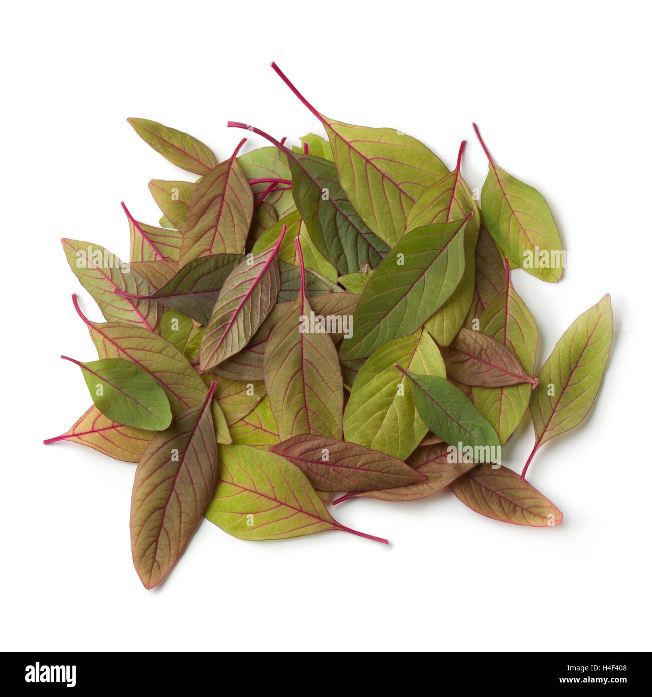 Cumulo di fresche foglie di amaranto su sfondo bianco Foto Stock