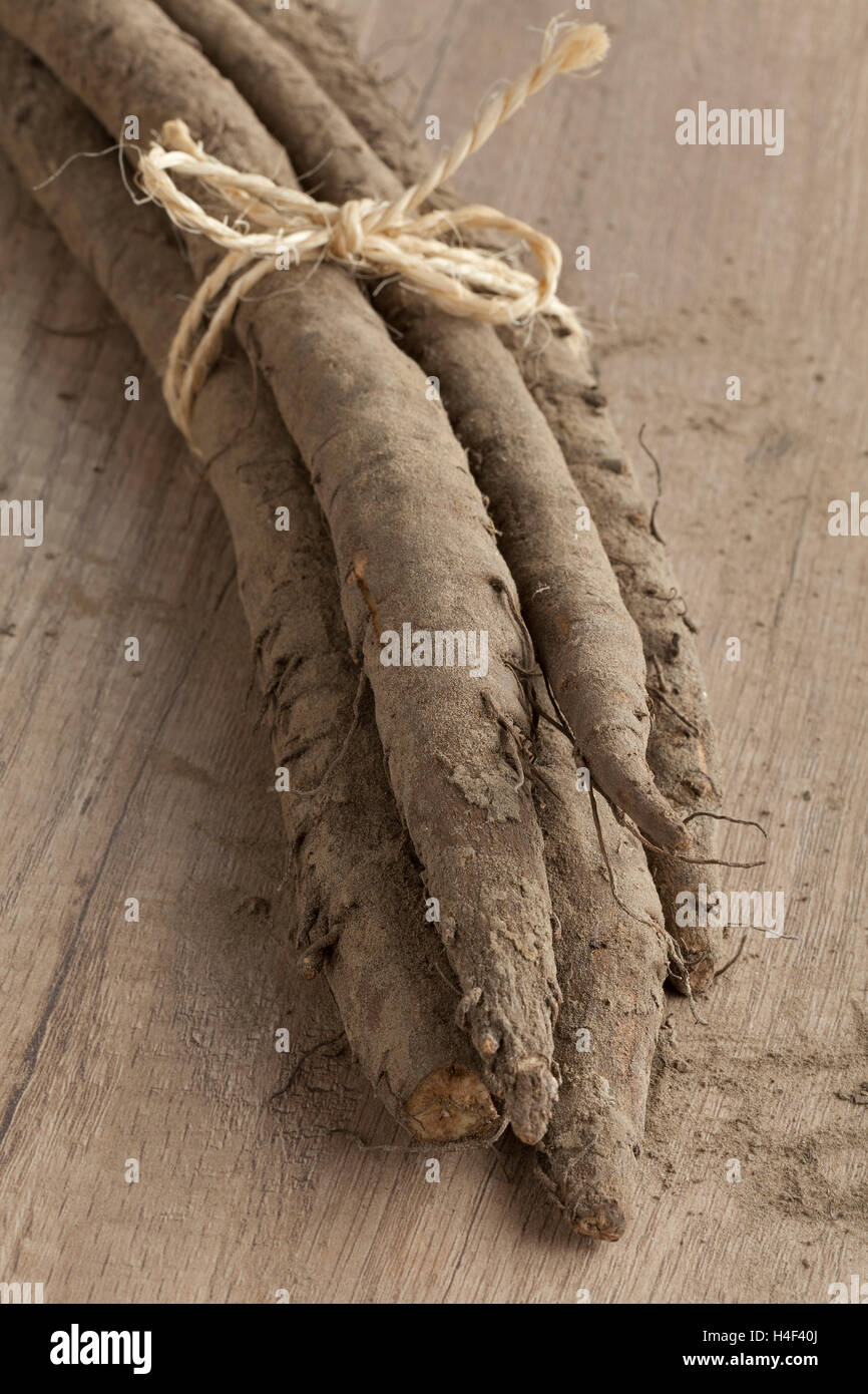 Mazzetto di fresco taproots bardana Foto Stock