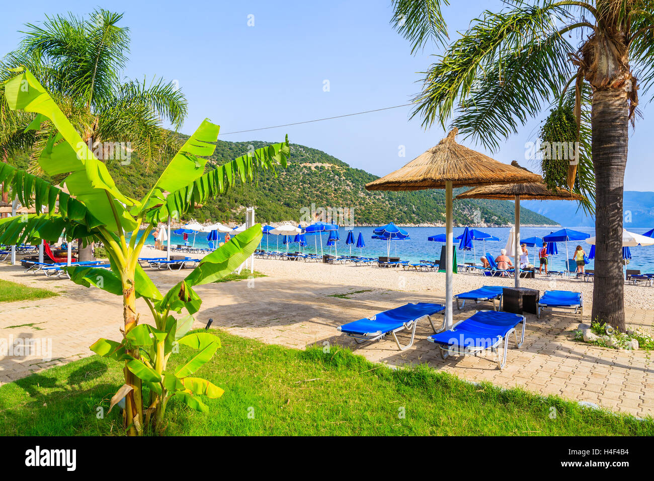 Lettini con ombrelloni sulla famosa spiaggia di Antisamos sull'isola di Cefalonia, Grecia Foto Stock