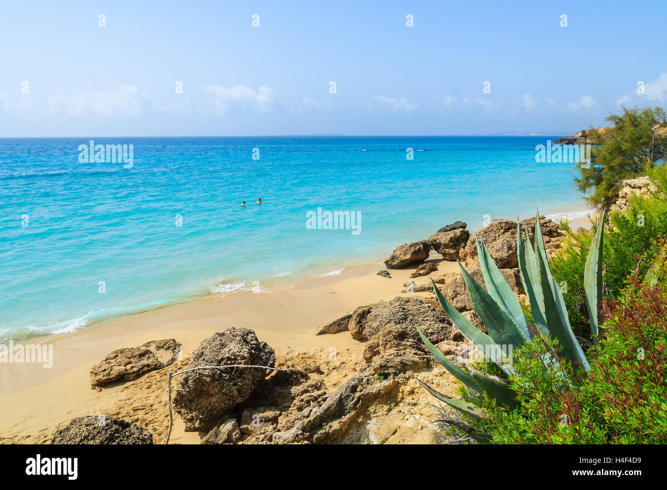 Il mare turchese a Sandy Lassi beach sull'isola di Cefalonia, Grecia Foto Stock