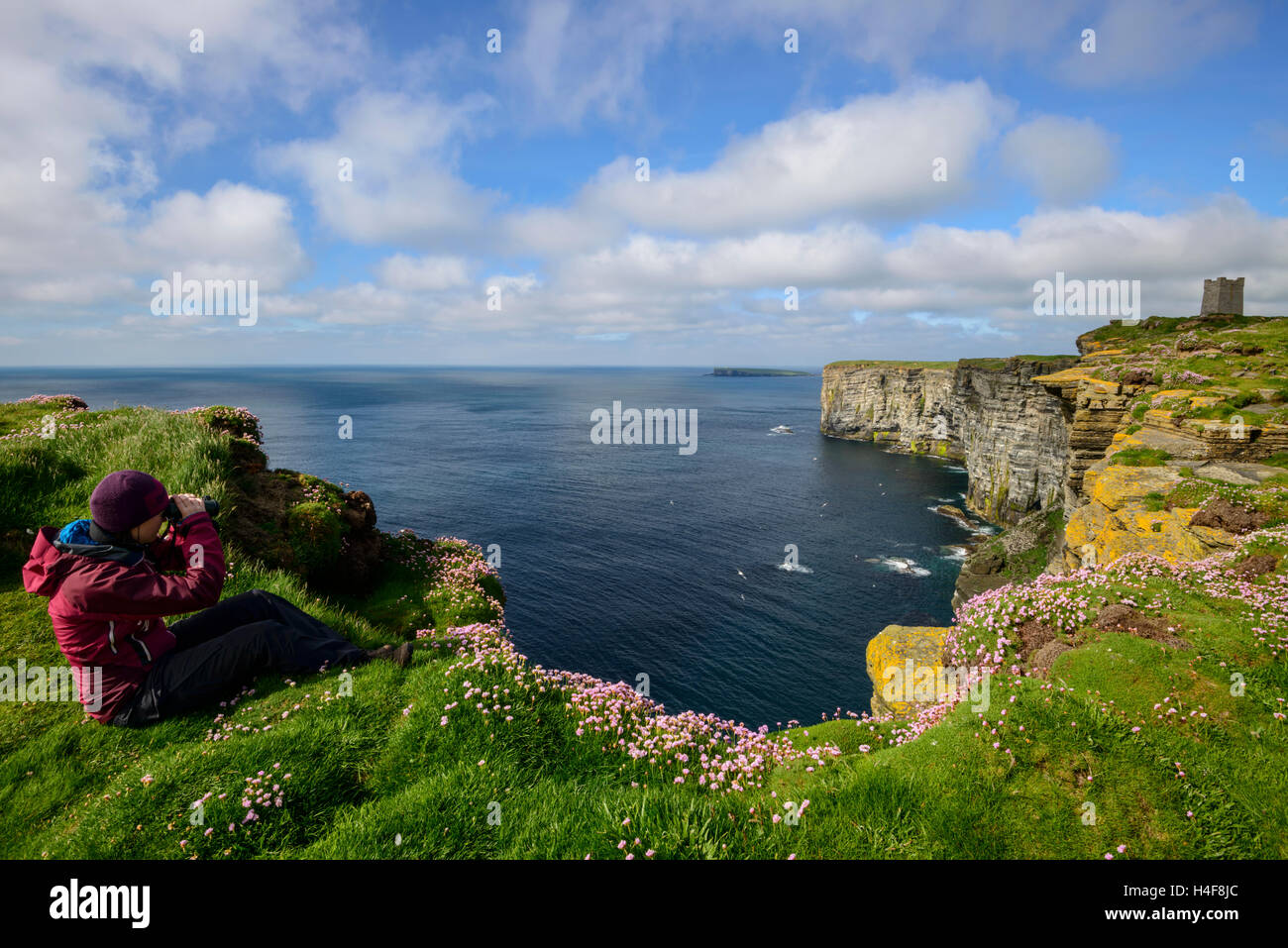 Osservazione degli uccelli femmina su Marwick testa (RSPB) colonia di pinguini con il Kitchener Memorial nella distanza, Orkney continentale, Scozia. Foto Stock