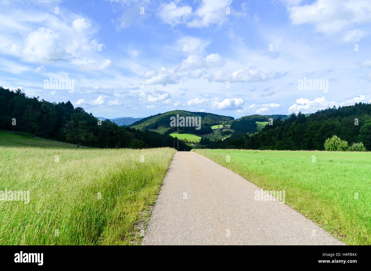 Percorso in bicicletta in Kaiserstühl Baden-Württemberg Foto Stock