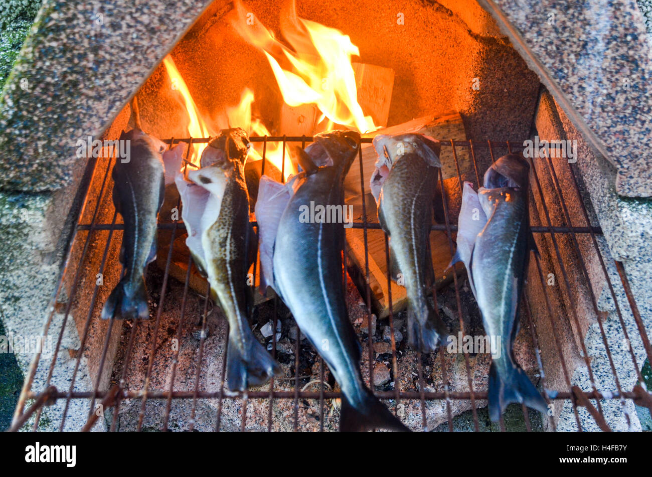 Pesci (merluzzo e merluzzo carbonaro) grigliare su un fuoco in Norvegia Foto Stock