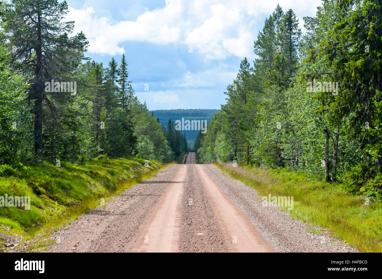 Strada di ghiaia in una riserva naturale in Svezia Foto Stock