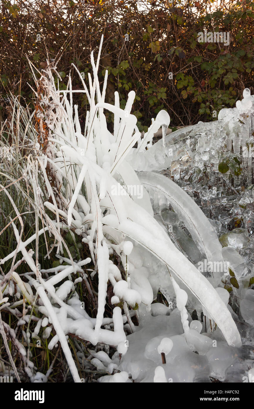 Il ghiaccio naturale scultura astratta delle forme vegetali congelati in ghiaccio Foto Stock