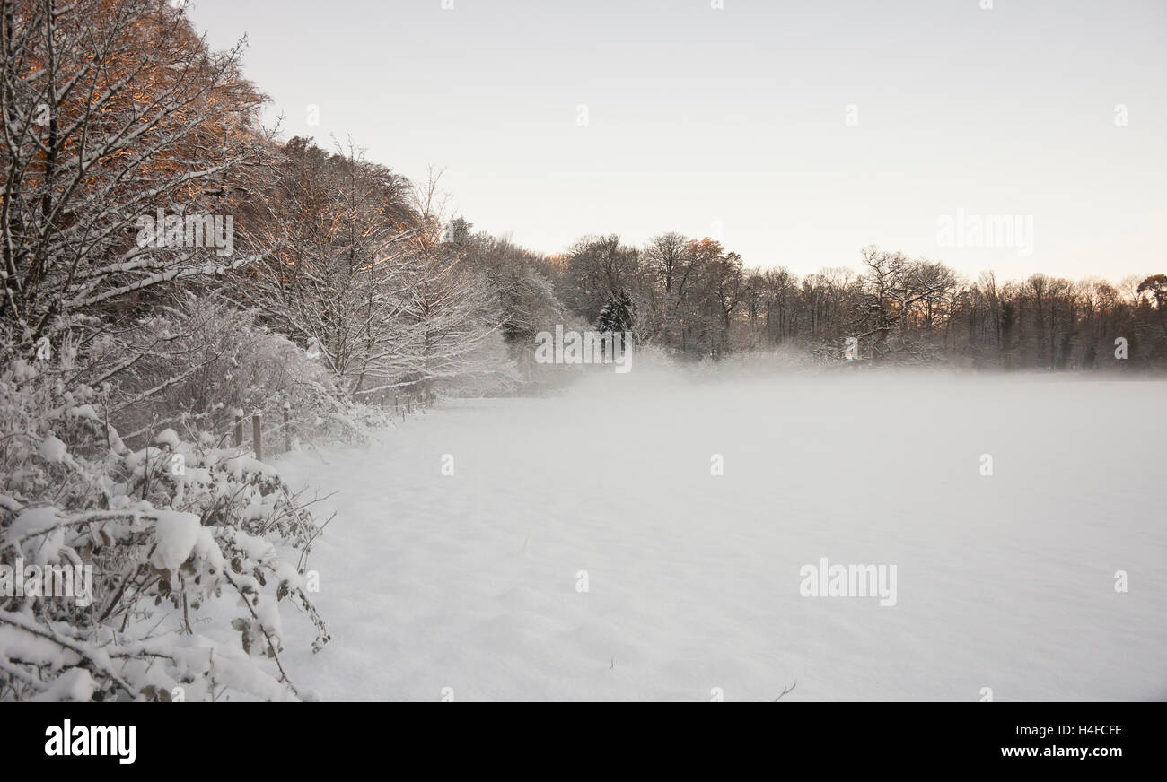 Neve invernale con il congelamento del paesaggio di nebbia Foto Stock