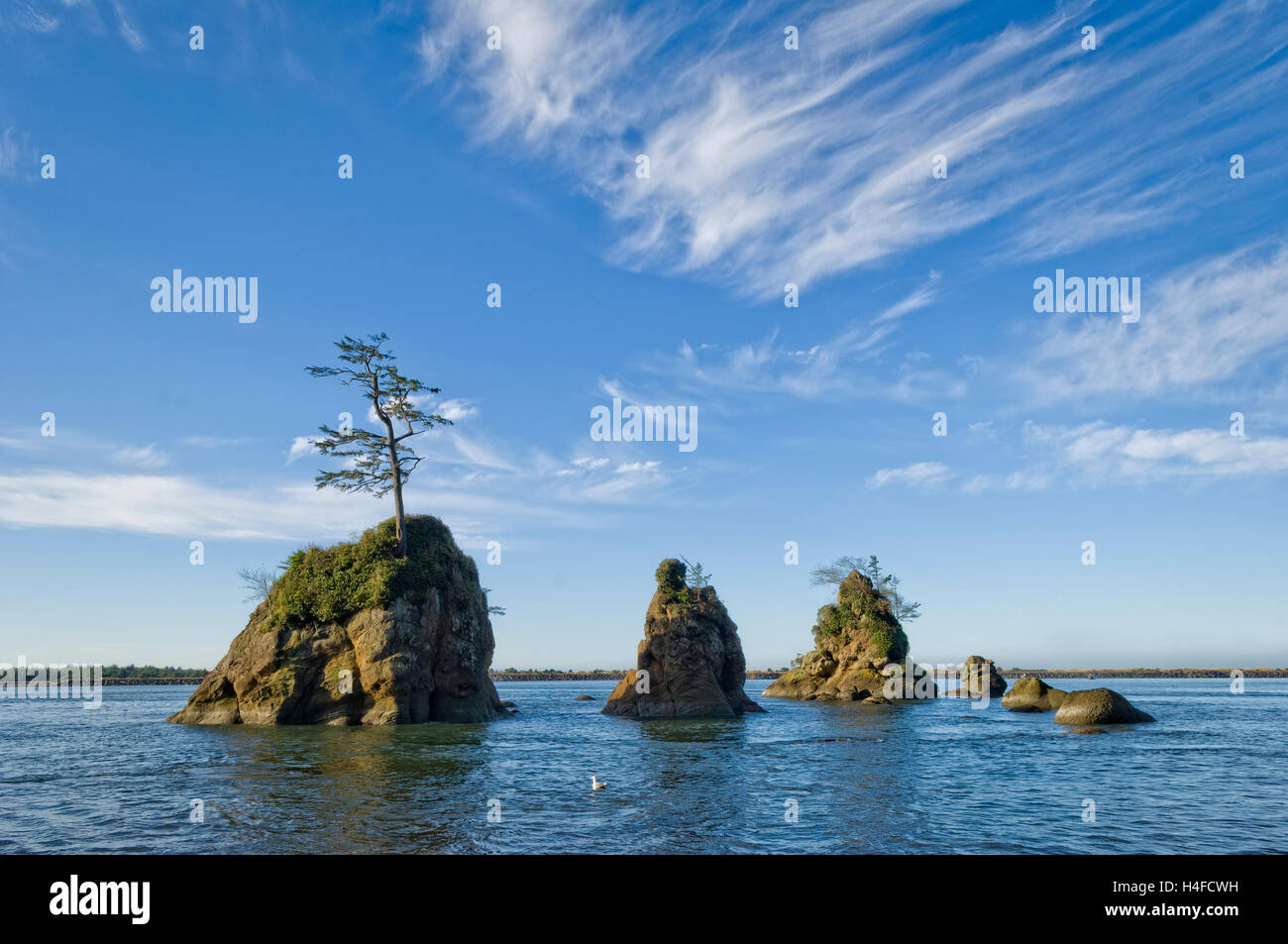 Le Tre Grazie sea pile in Tillamook Bay vicino Barview sulla northern Oregon Coast. Foto Stock
