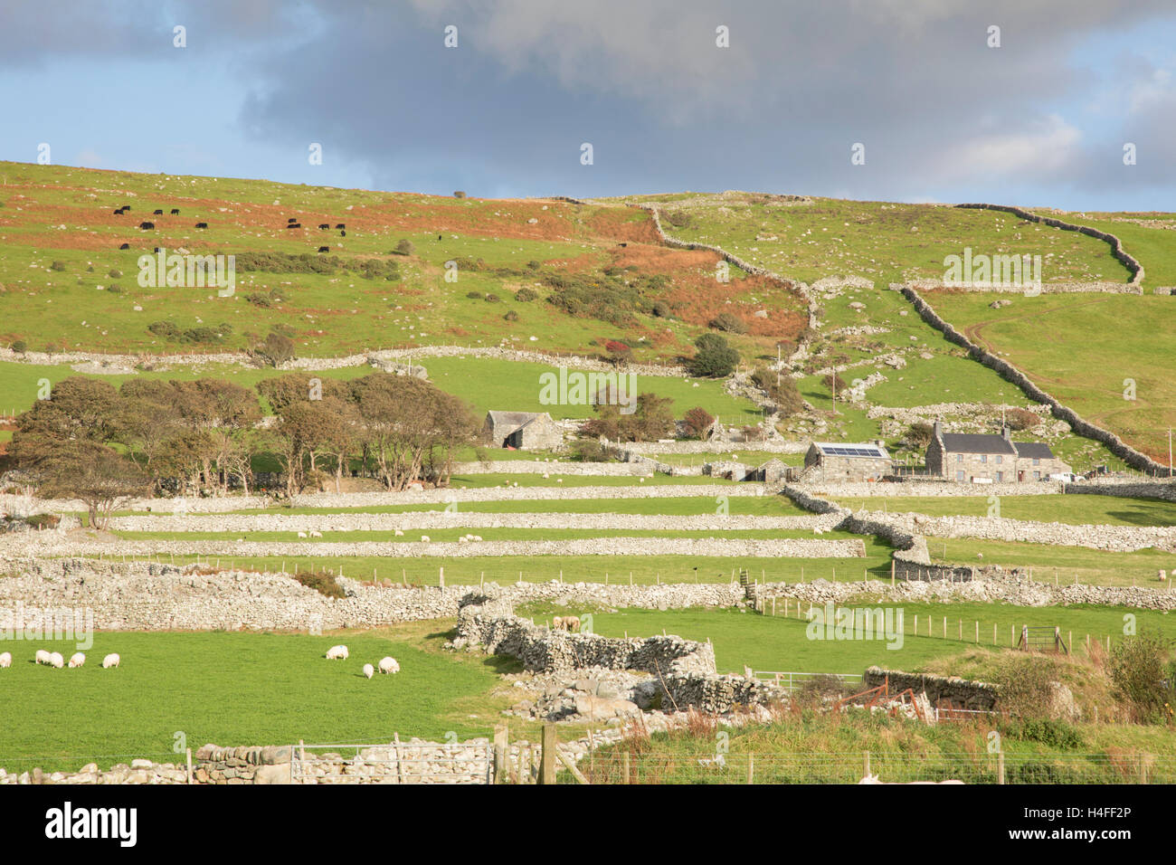 Stalattite parete pattens campo, Snowdonia National Park, North Wales, Regno Unito Foto Stock