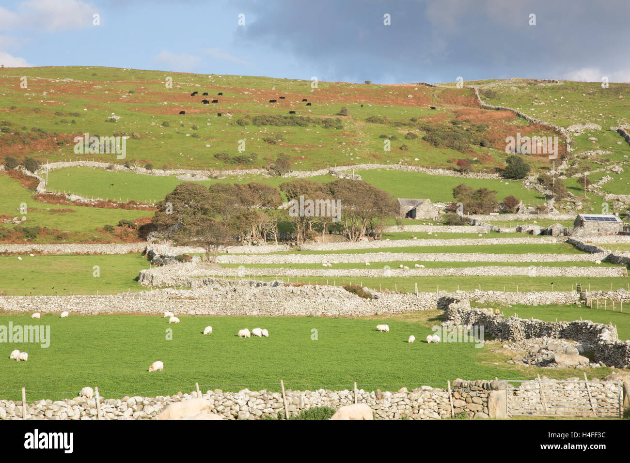 Stalattite parete pattens campo, Snowdonia National Park, North Wales, Regno Unito Foto Stock