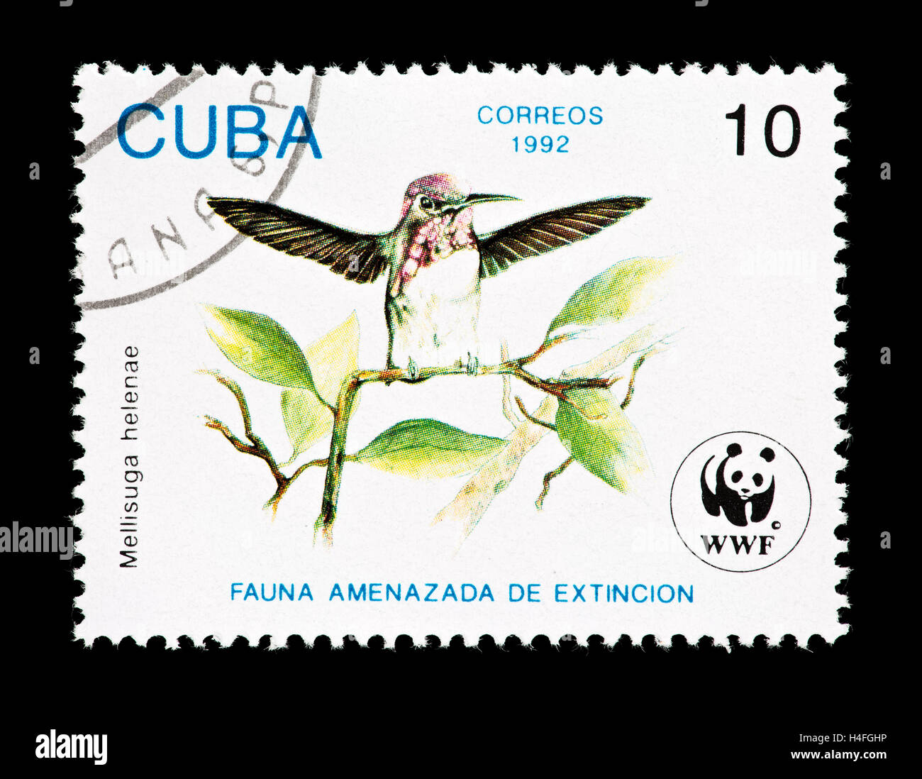 Francobollo da Cuba raffigurante un bee hummingbird (Mellisuga helenae) Foto Stock