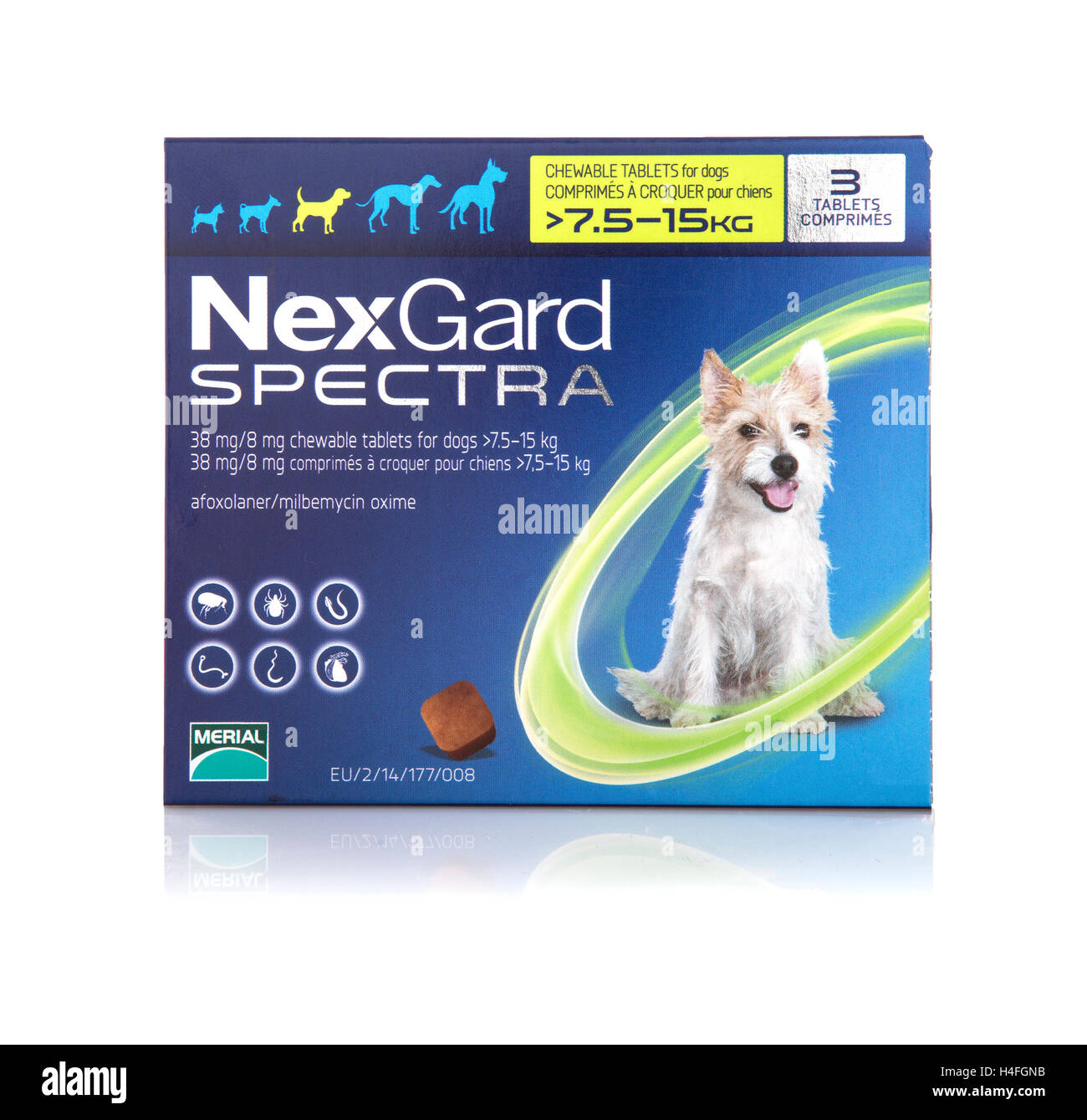 Gli spettri Nexgard per cani su sfondo bianco Foto stock - Alamy
