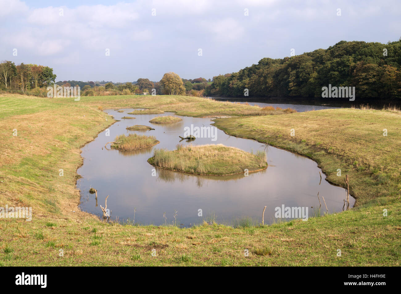 Laguna di soluzione salina adiacente al fiume usura Washington Wetland Centre, Tyne and Wear, England, Regno Unito Foto Stock