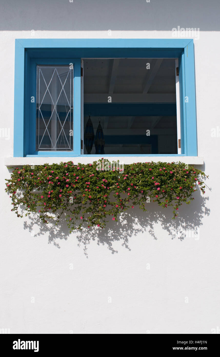 Fuerteventura Isole Canarie, Nord Africa, Spagna: outdoor decorazione in stile marina, una finestra blu con fiori Foto Stock