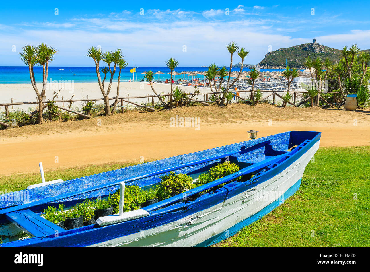 Blu e bianco barca da pesca come vaso di fiori sul Porto Giunco spiaggia, l'isola di Sardegna, Italia Foto Stock