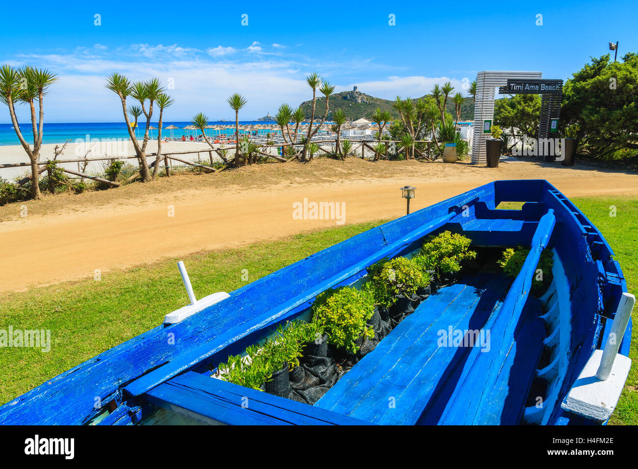 Blu e bianco barca da pesca come vaso di fiori sul Porto Giunco (Timi Ama) beach, l'isola di Sardegna, Italia Foto Stock