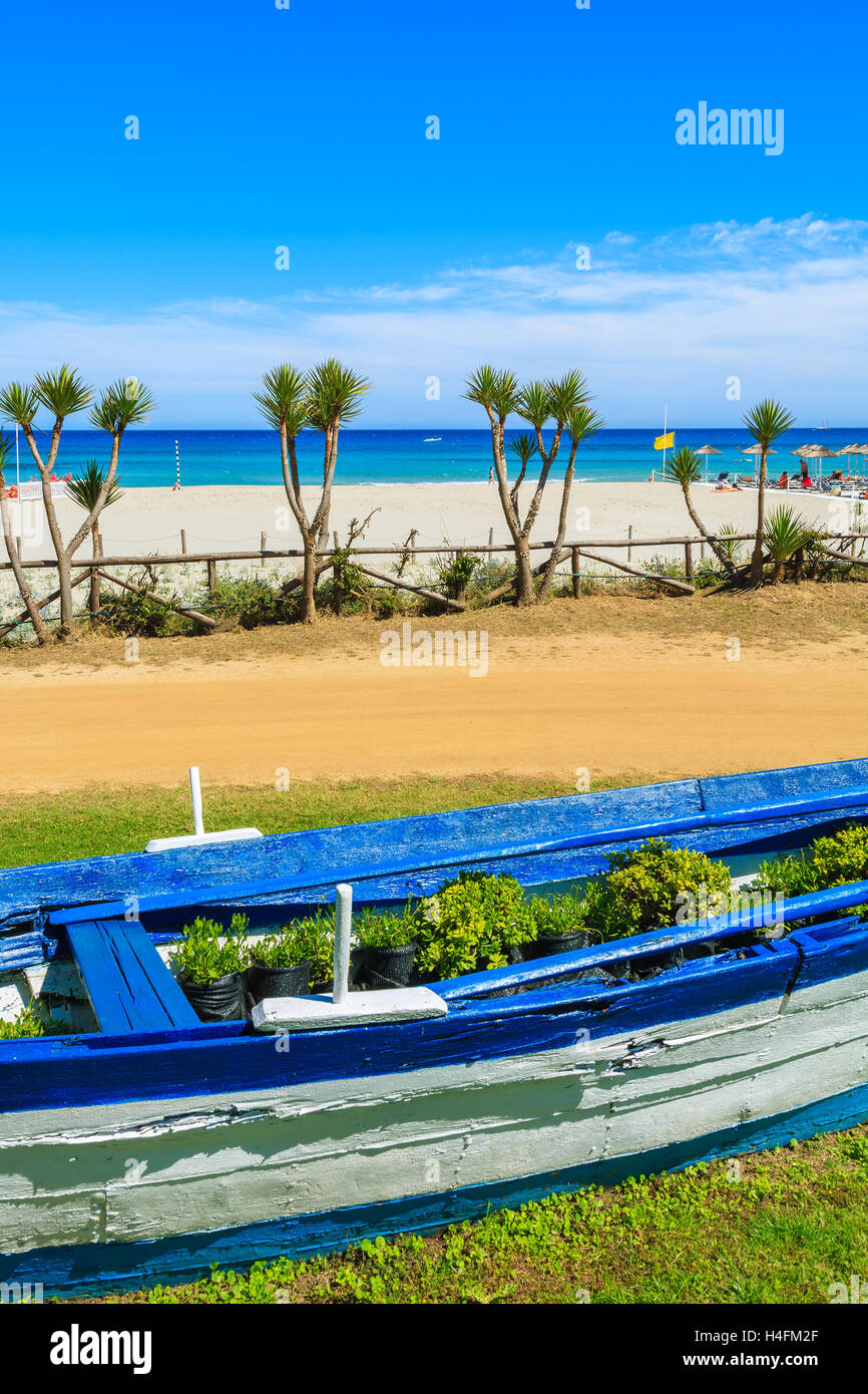 Blu e bianco barca da pesca come vaso di fiori sul Porto Giunco spiaggia, l'isola di Sardegna, Italia Foto Stock