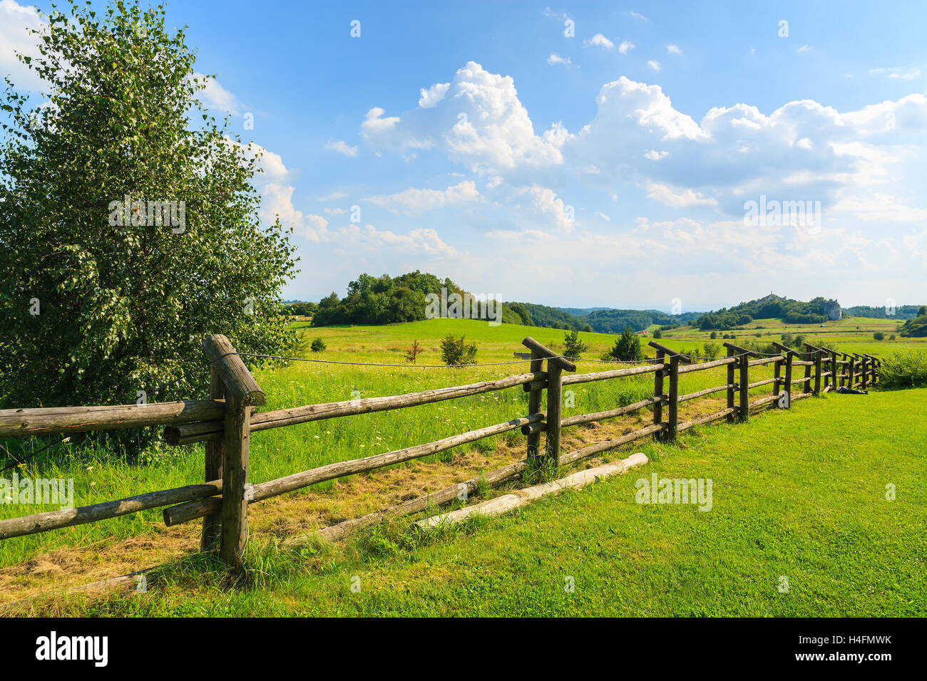 Staccionata in legno sul campo verde in estate vicino a Cracovia in Polonia Foto Stock
