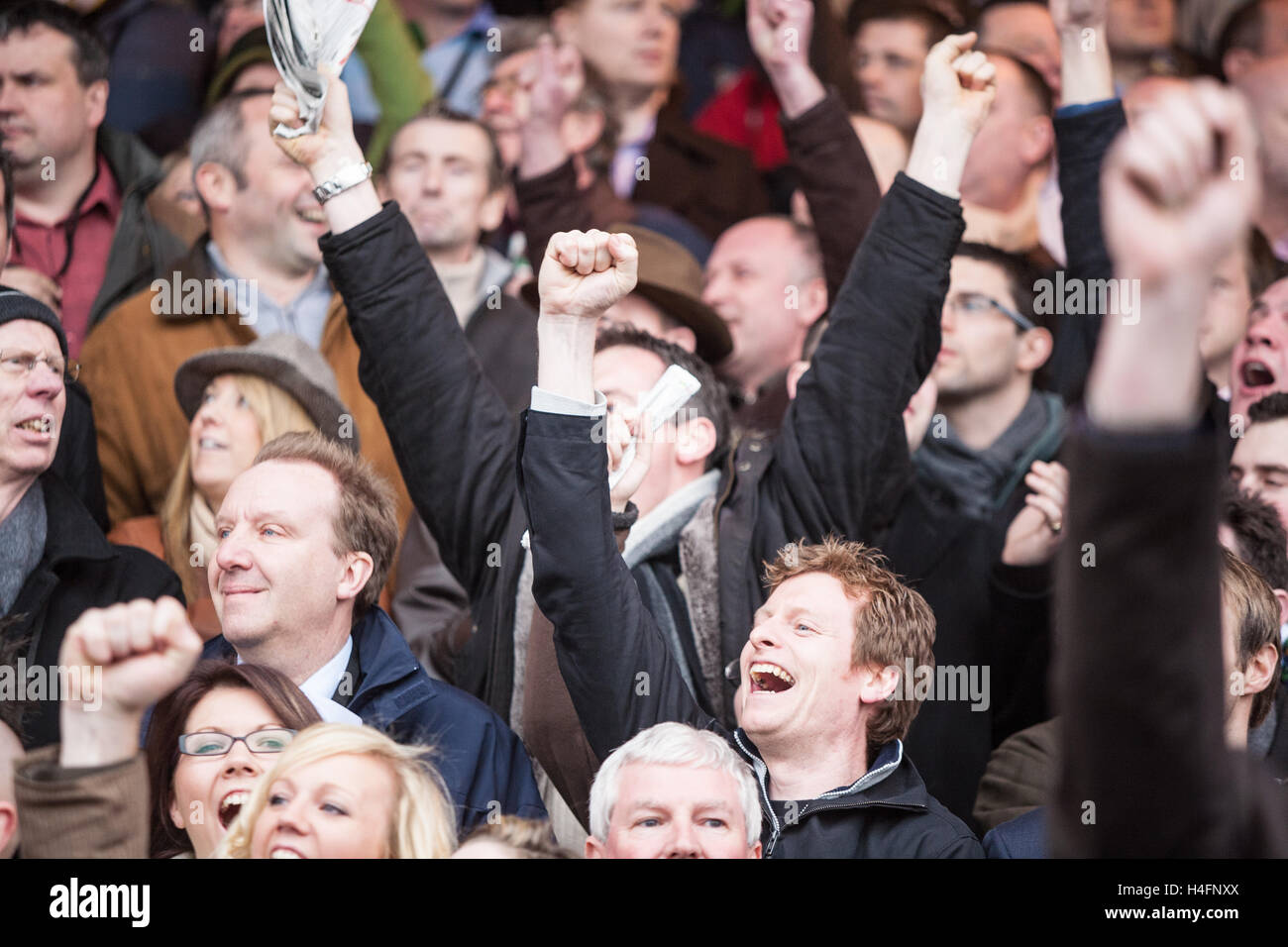 Festival di Cheltenham corse di cavalli che si tiene ogni anno nel mese di marzo. Suoneria nazionale gara incontro su salti,ostacoli,recinzioni,Inghilterra. Regno Unito Foto Stock