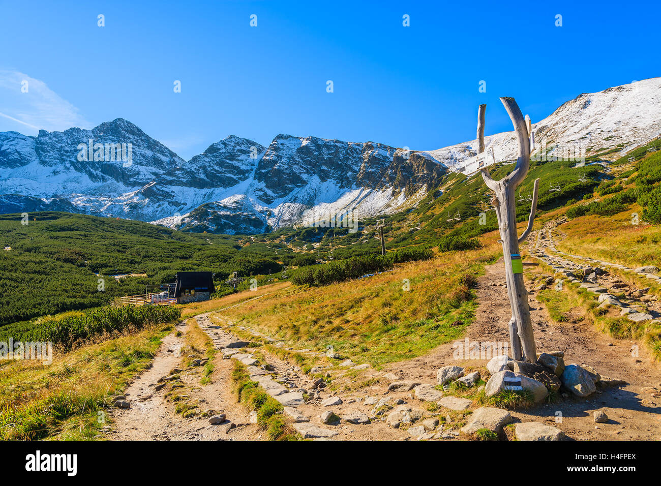 Sentiero di montagna nella valle Gasienicowa, Alti Tatra, Polonia Foto Stock