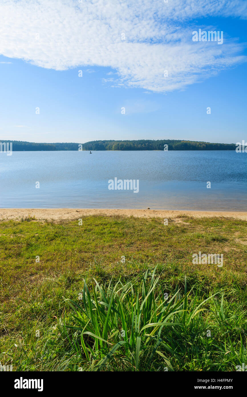 Erba verde sulla riva del lago Chancza, Polonia Foto Stock