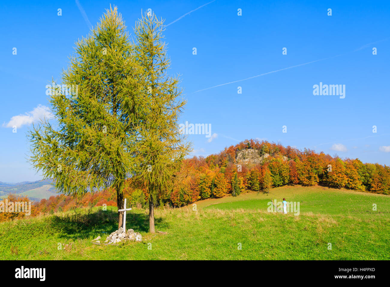 Albero verde con la croce bianca sul prato sulla soleggiata giornata autunnale, Pieniny Mountains, Polonia Foto Stock