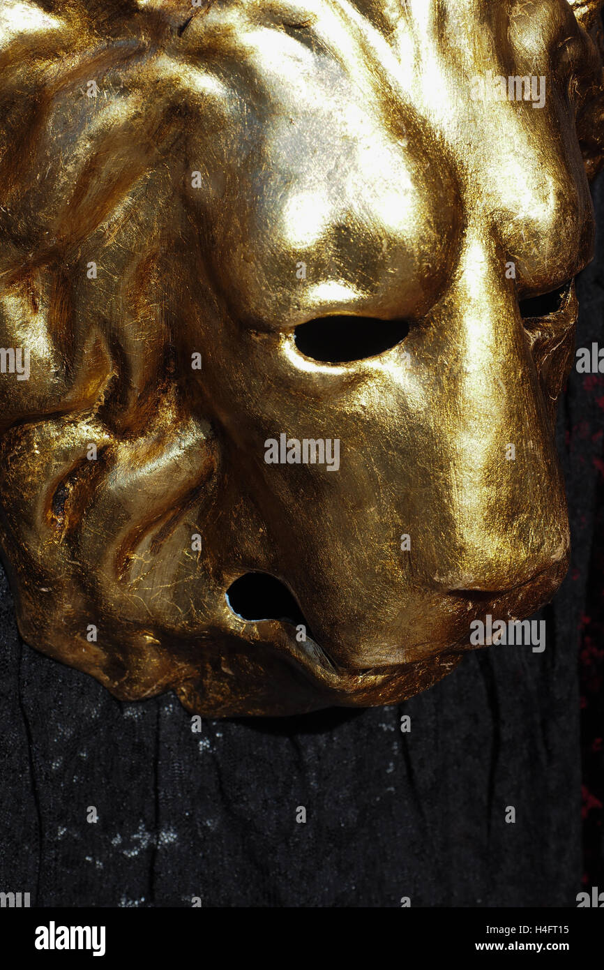 Il Leone d'Oro, Venezia, Italia Foto Stock