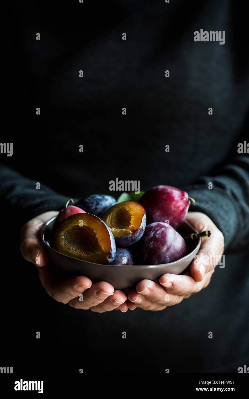 Mani tenendo una tazza di prugne fresche Foto Stock