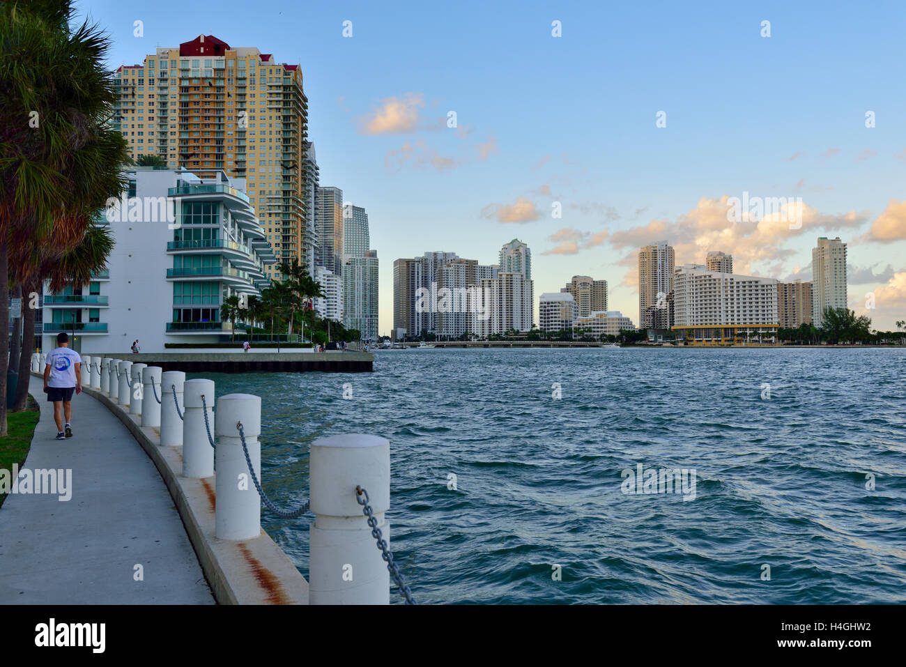 Skyline di Miami di Biscayne Bay, Florida, Stati Uniti d'America Foto Stock