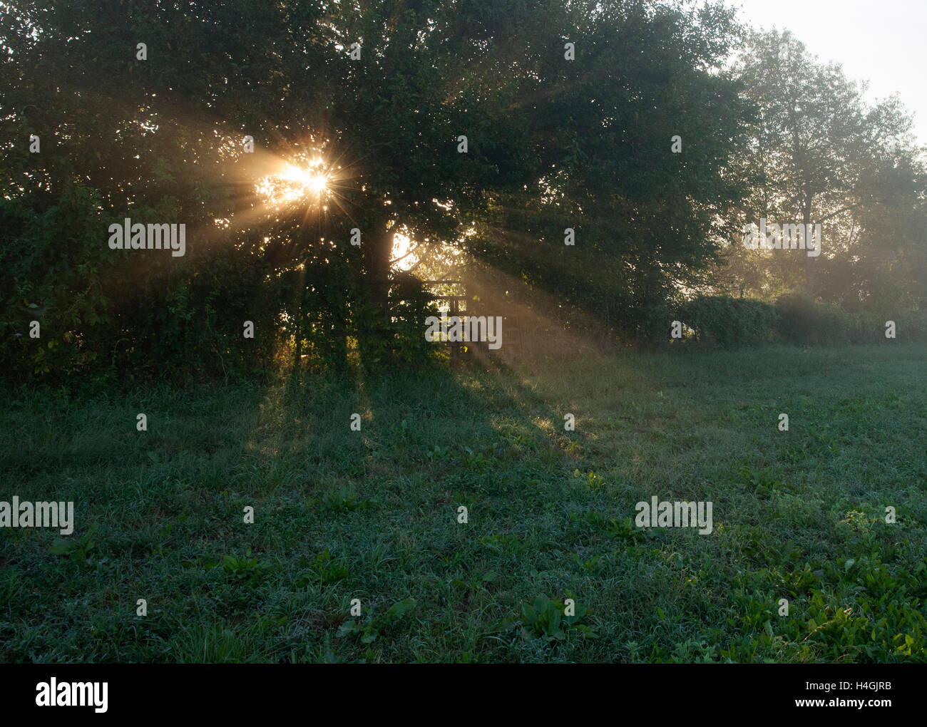 'Sunburst, Gate #1' Southern Illinois Foto Stock