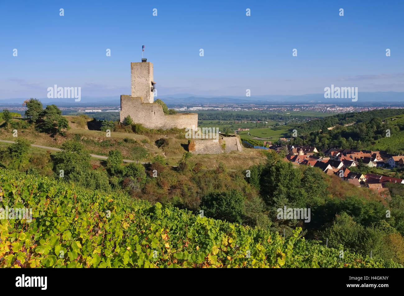 Burg Wineck, Katzenthal im Elsass, Frankreich - castello Wineck, Katzenthal in Alsazia in Francia Foto Stock