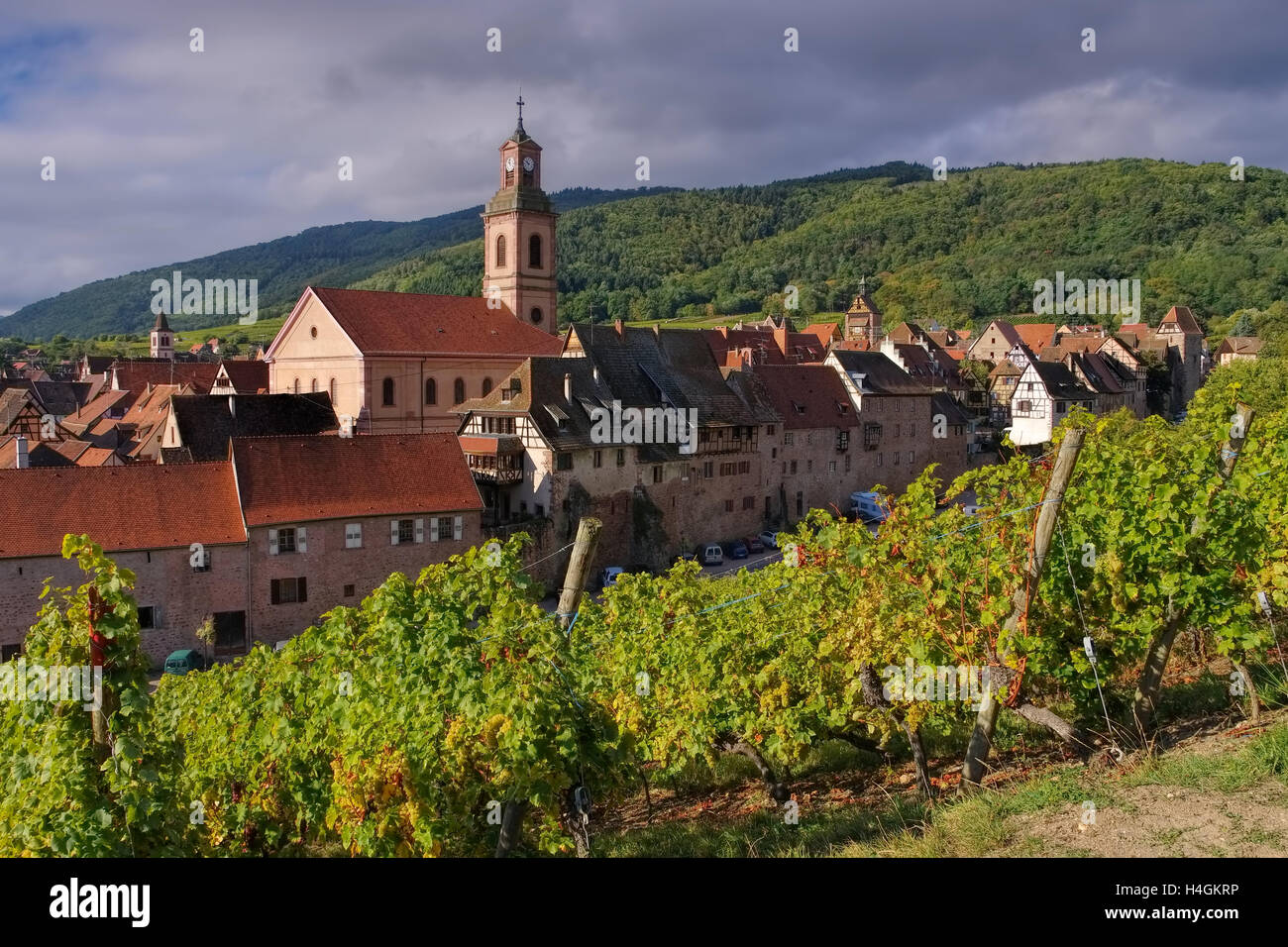 Weinberg und Stadtansicht Riquewihr Elsass im, Frankreich - Vigna e townscape Riquewihr, Alsazia in Francia Foto Stock