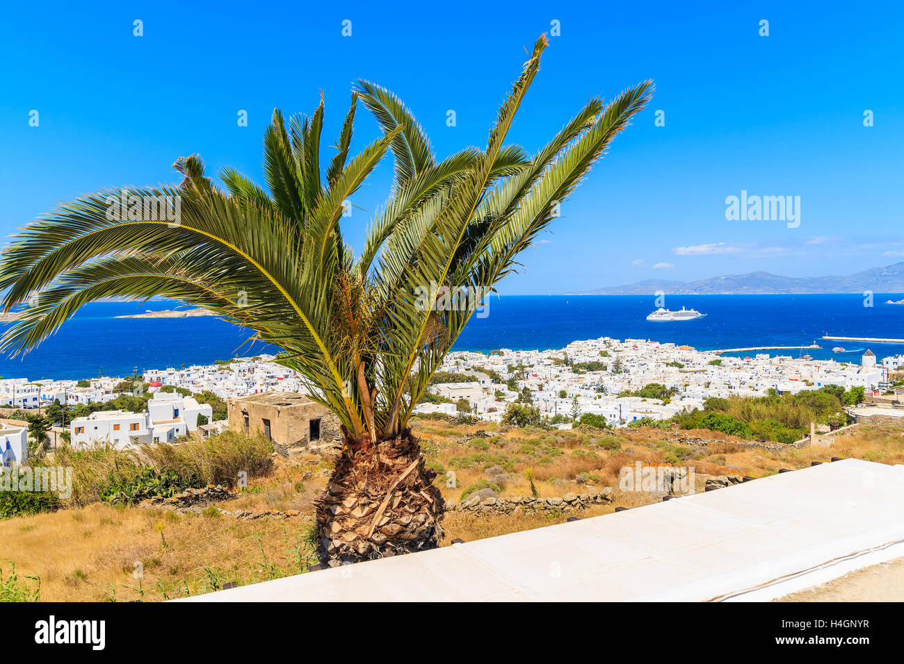 Vista del porto di Mykonos con Palm tree in primo piano, a Mykonos, Grecia Foto Stock