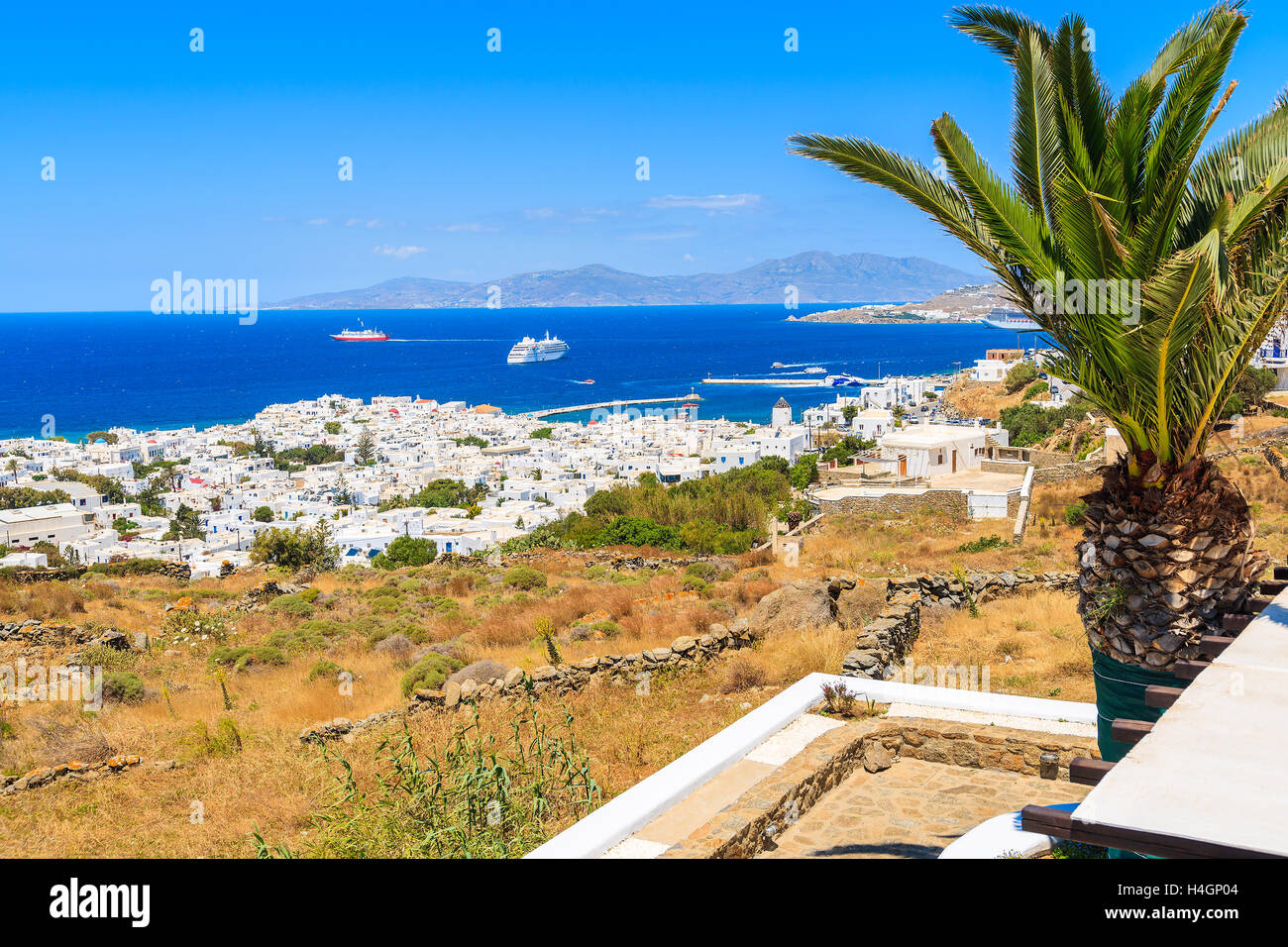 Vista del porto di Mykonos con Palm tree in primo piano, a Mykonos, Grecia Foto Stock