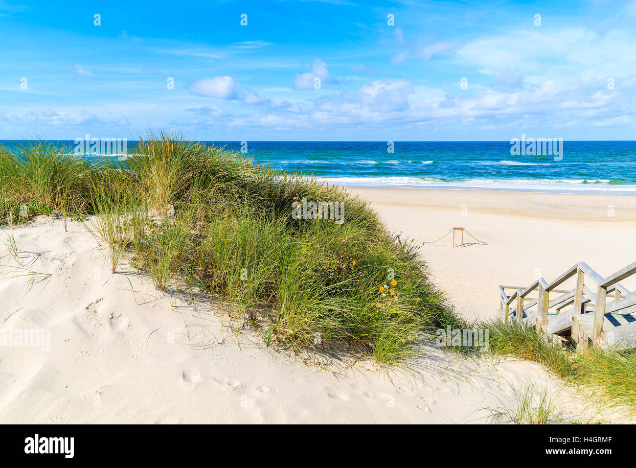 Erba verde sulla duna di sabbia in spiaggia Elenco, isola di Sylt, Germania Foto Stock