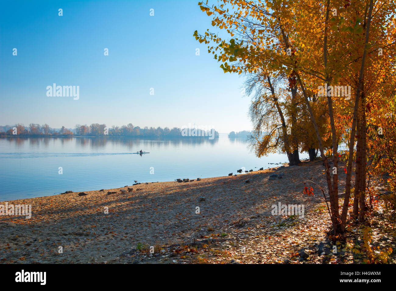 Vogatore uomo sculling a remi barca sul lago Foto Stock