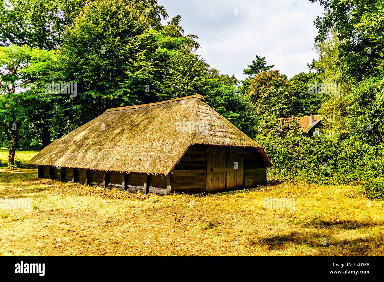 Vecchio Fienile di pecora con tetto di paglia nel Veluwe regione dei Paesi Bassi Foto Stock