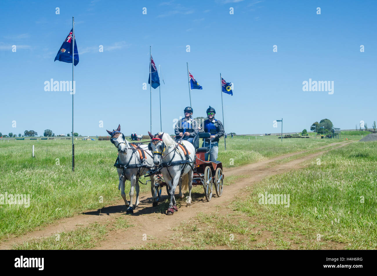 Il cavallo di prove di guida Club (Australia) Evento maratona Foto Stock