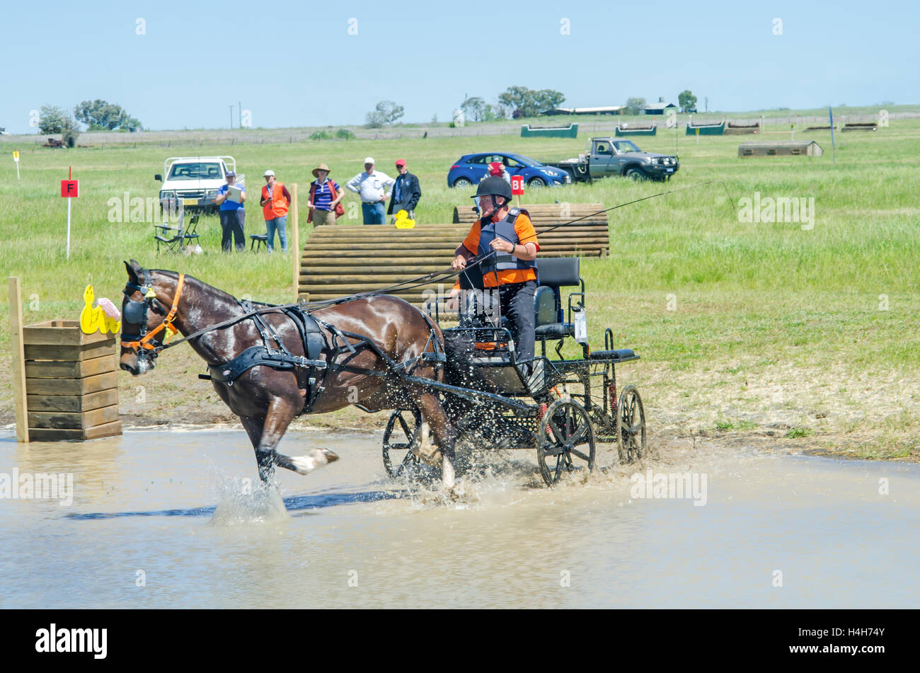 Al Pericolo in acqua nel cavallo prove di guida Club (Australia) Marathon evento, Foto Stock