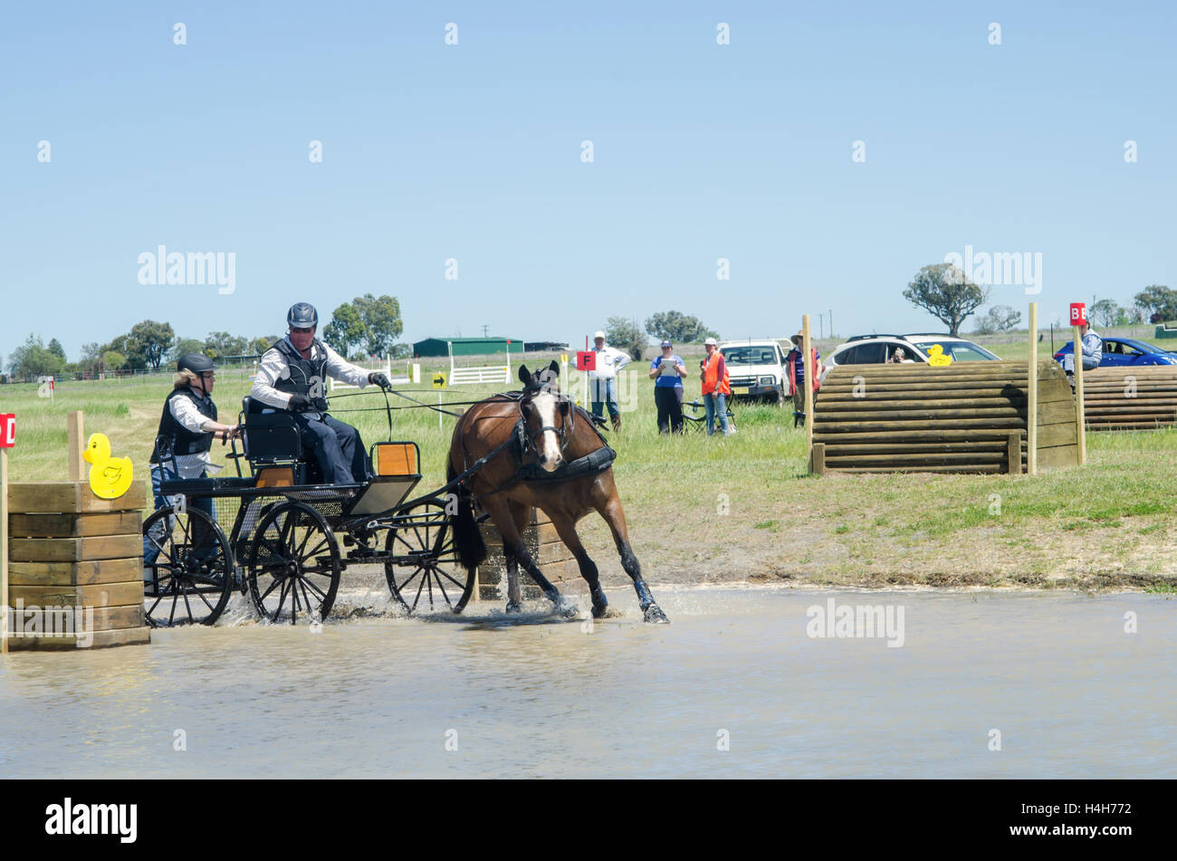 Il cavallo di prove di guida Club (Australia) Evento maratona Foto Stock