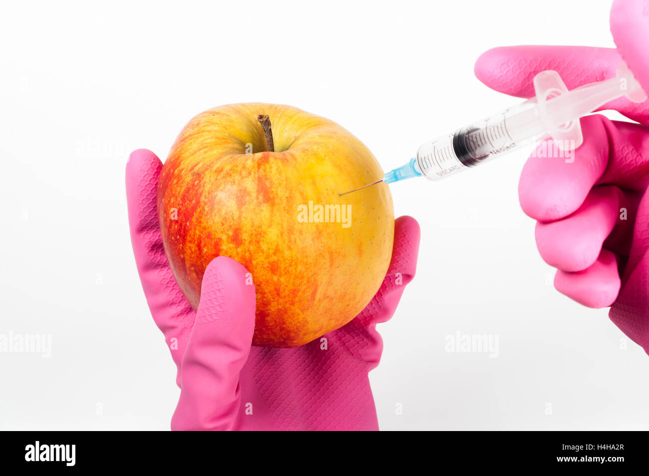 Organismi geneticamente modificati apple Foto Stock