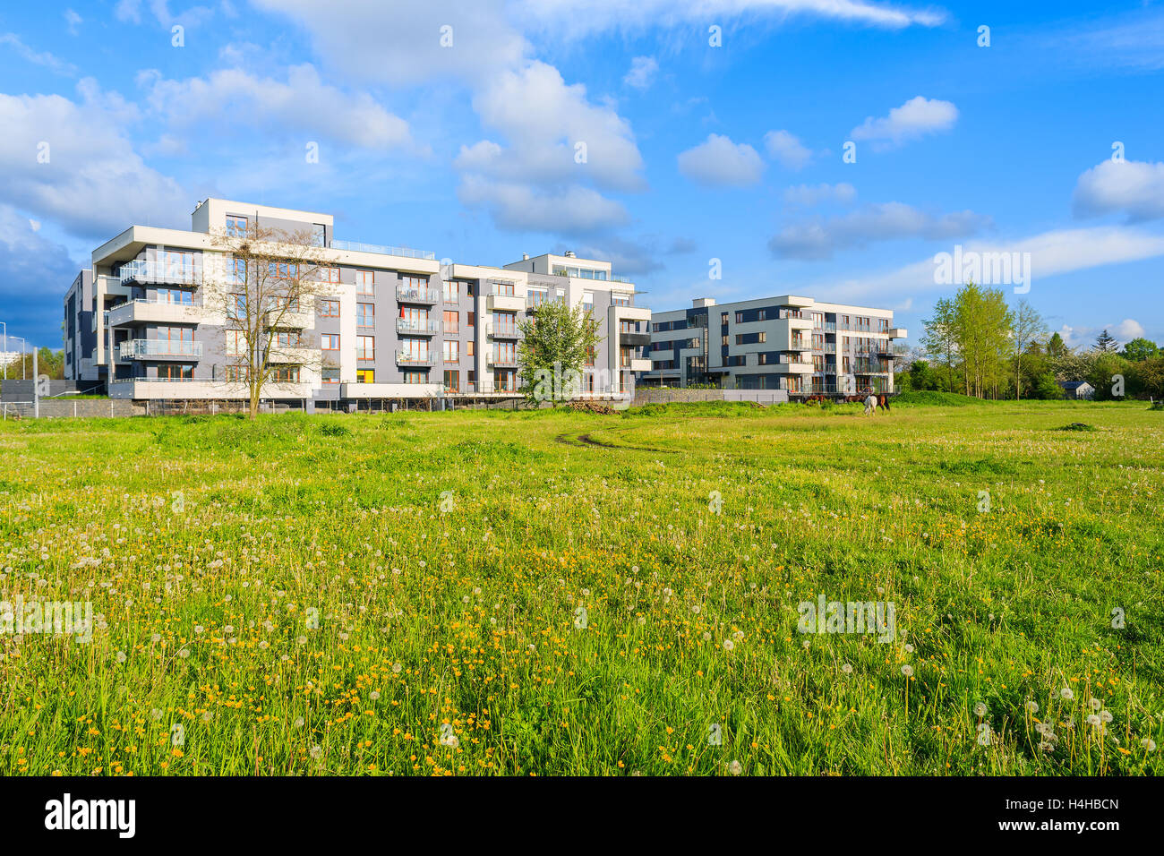 Moderno edificio di appartamenti sul prato verde con fiori in città di Cracovia, in Polonia Foto Stock