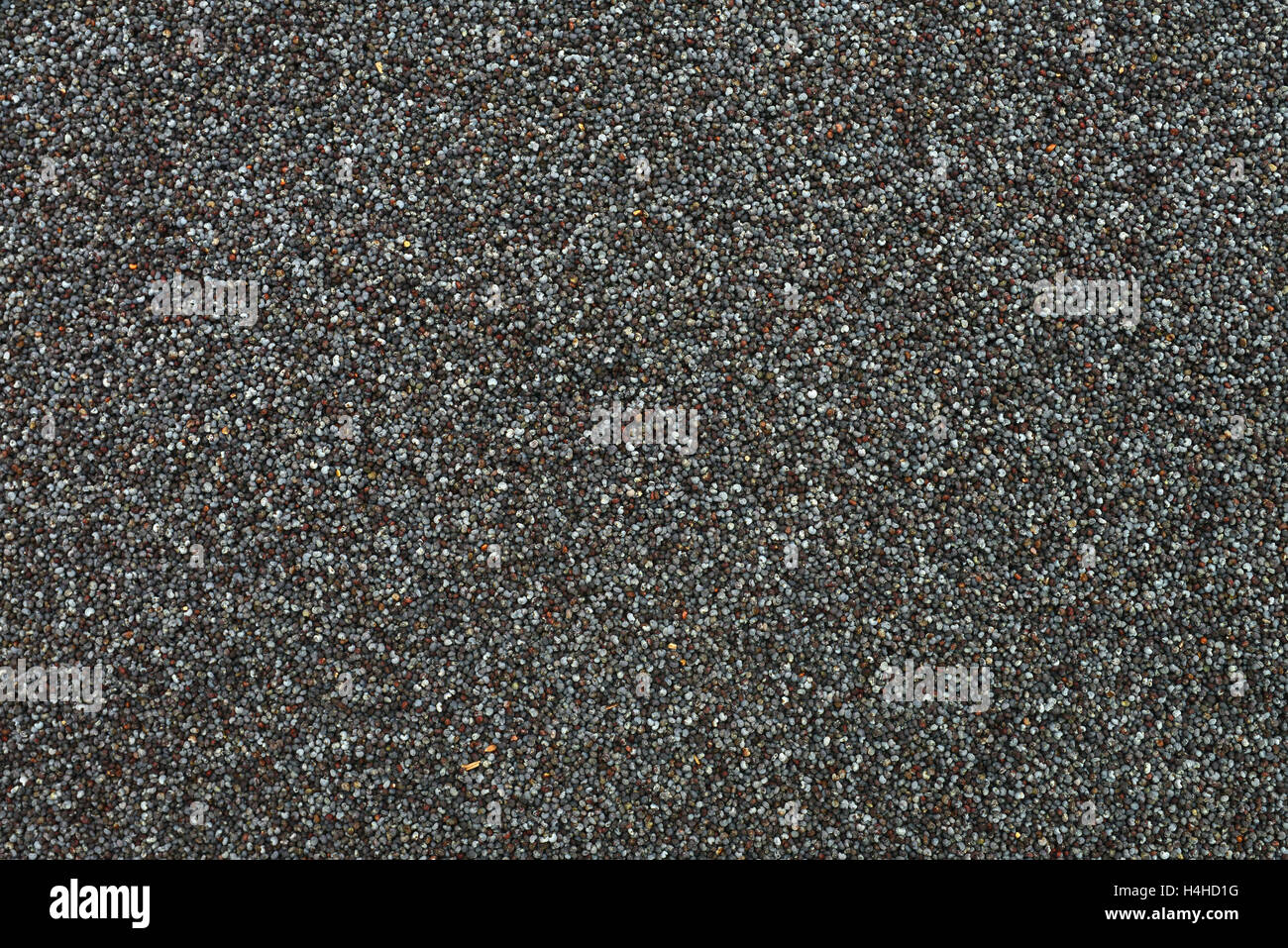 Grigio secco semi di papavero pattern texture di sfondo di cibo Foto Stock