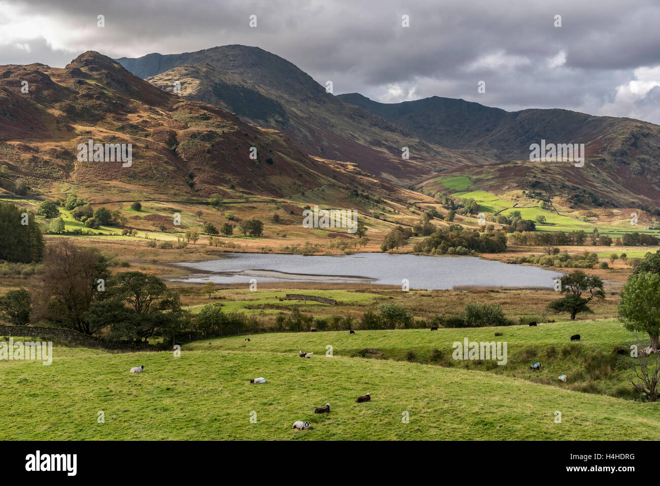 Guardando verso il basso sui piedi cadde Farm e poco Langdale tarn dal Wrynose pass. Foto Stock