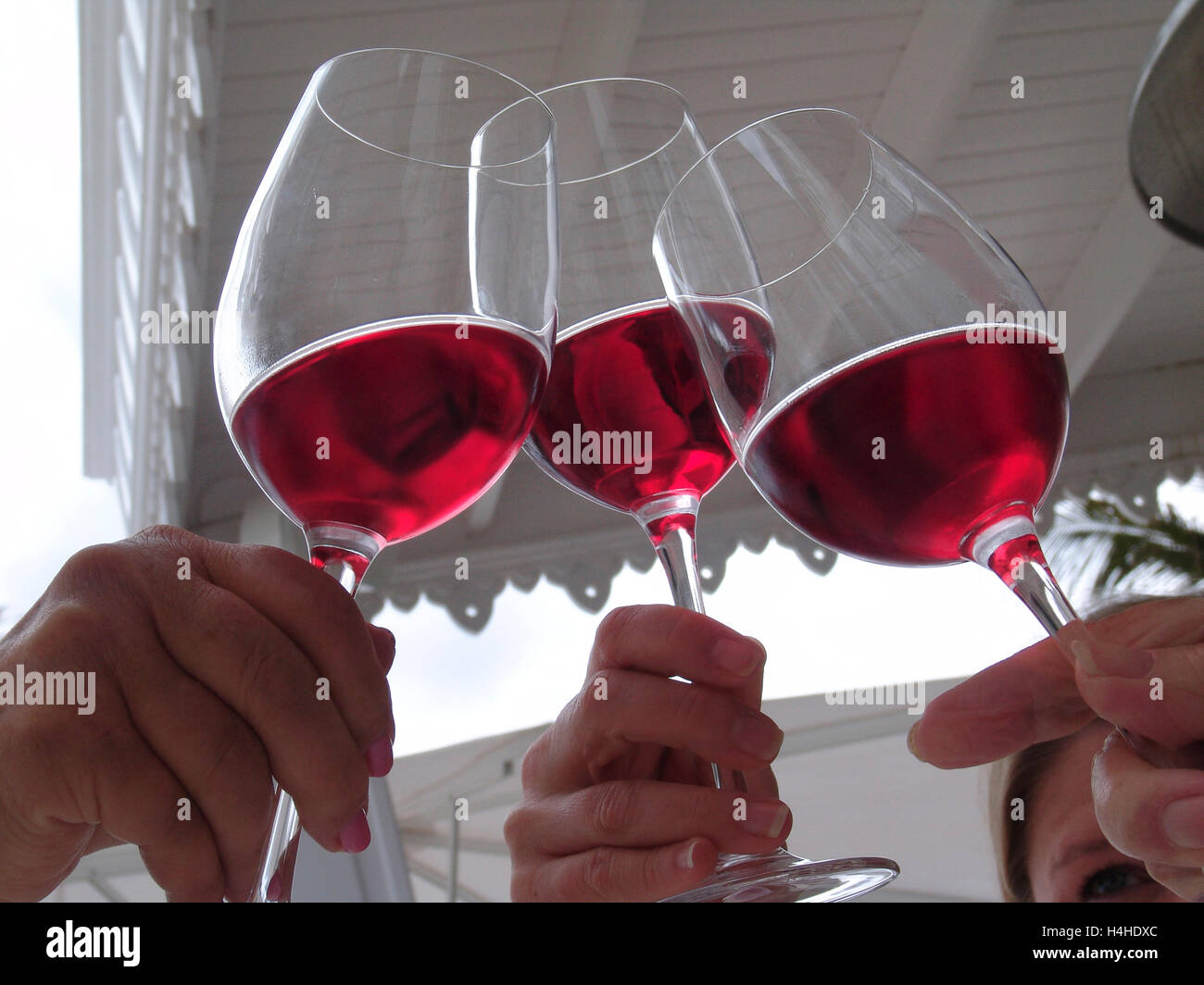 ALLIETARE i bicchieri di vino rosato che affondano insieme in amici di vacanza all'aperto degustazione vino ambiente pranzo Foto Stock