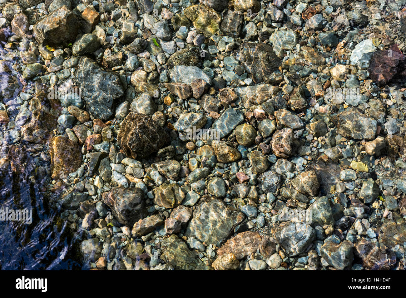 Ciottoli colorati sott'acqua nel flusso amoutain o Beck. Foto Stock