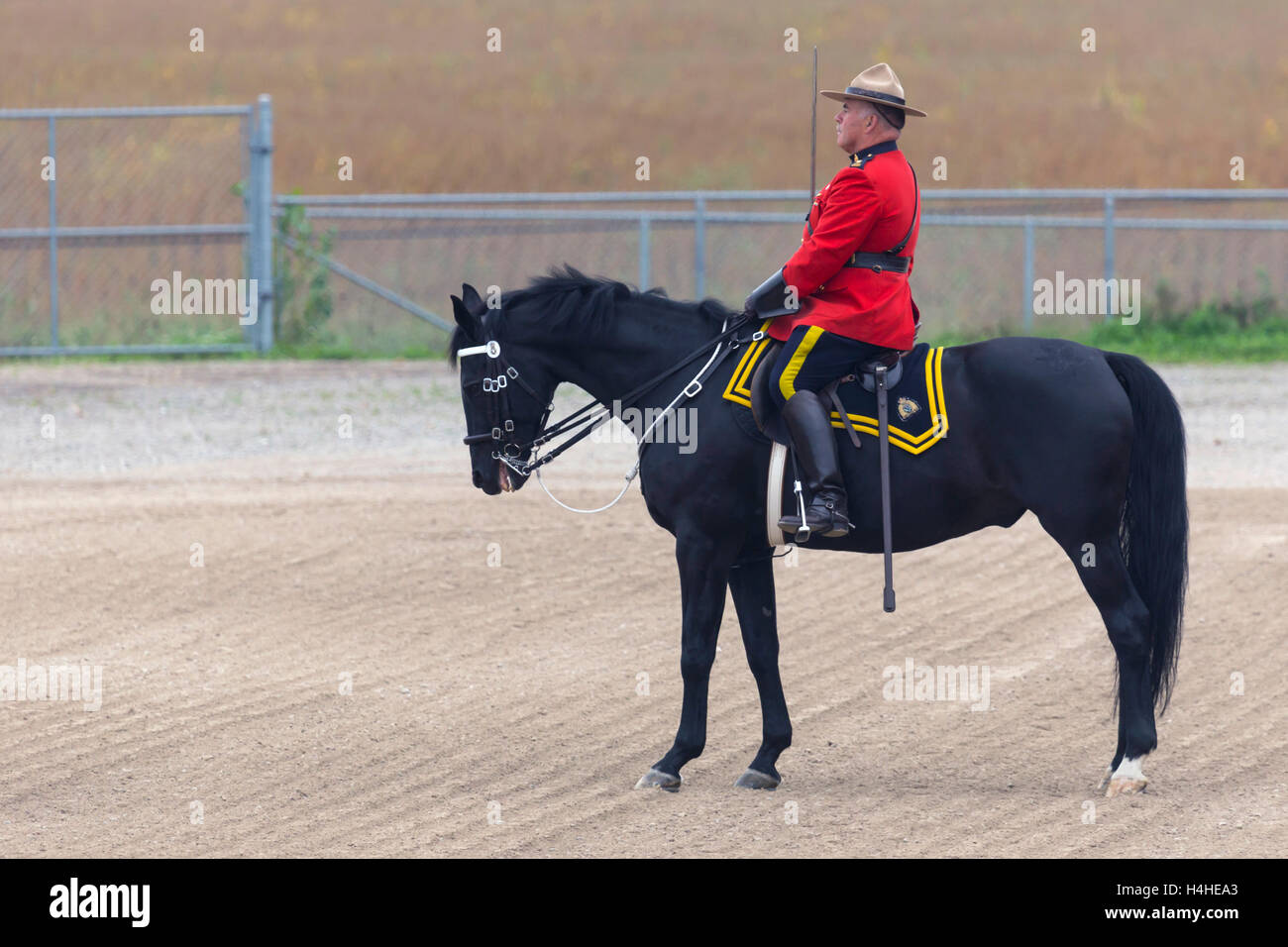 Il nostro orgoglio RCMP eseguendo il loro giro musicale performance presso il centro fieristico di Ancaster a 630 Trinità strada in Ancaster, Ontario su Foto Stock
