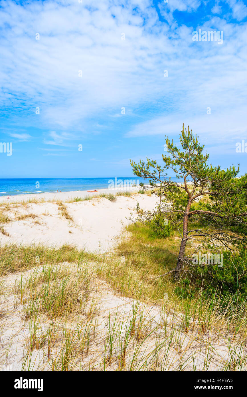 Una vista della bella spiaggia di sabbia in città Leba, Mar Baltico, Polonia Foto Stock